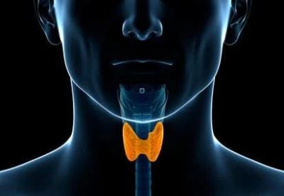 Protecting the Thyroid from Radiation Exposure
