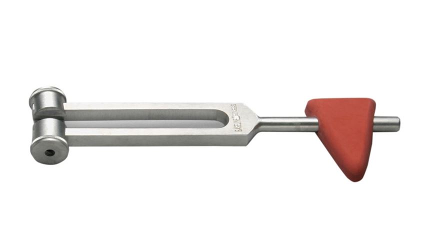 Baseline® Taylor Hammer with Tuning Fork