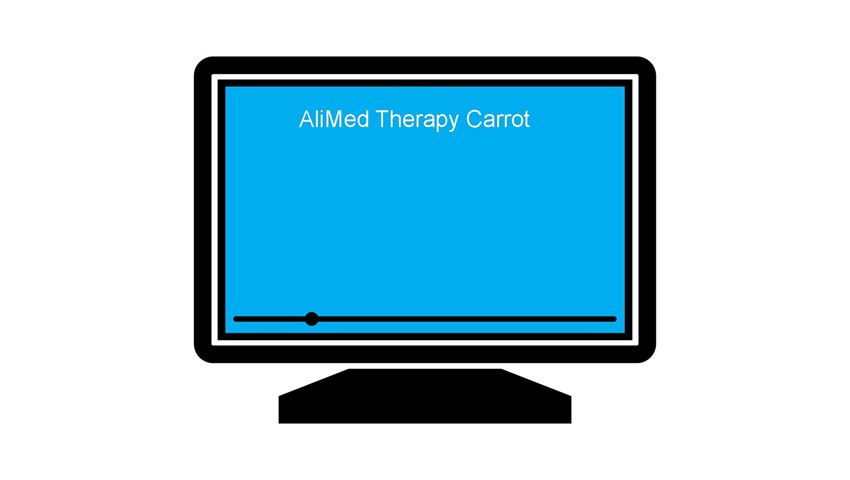 AliMed® Antimicrobial-Treated Blue Therapy Carrot™ Hand Contracture Orthosis Kit