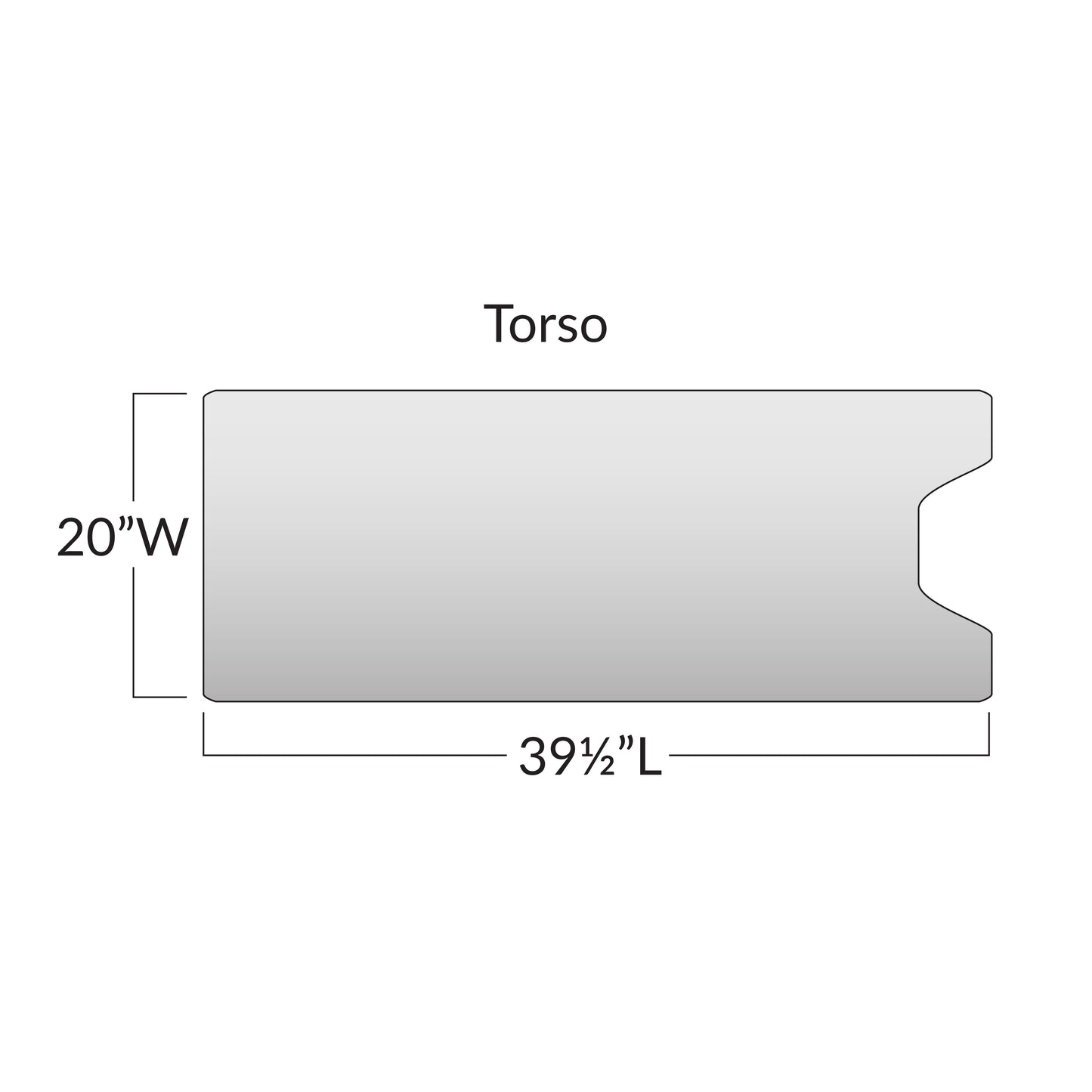 Diagram of the Action Torso Section Surface Overlay with Cutout, measuring 20"W x 39�"L, showing its dimensions.