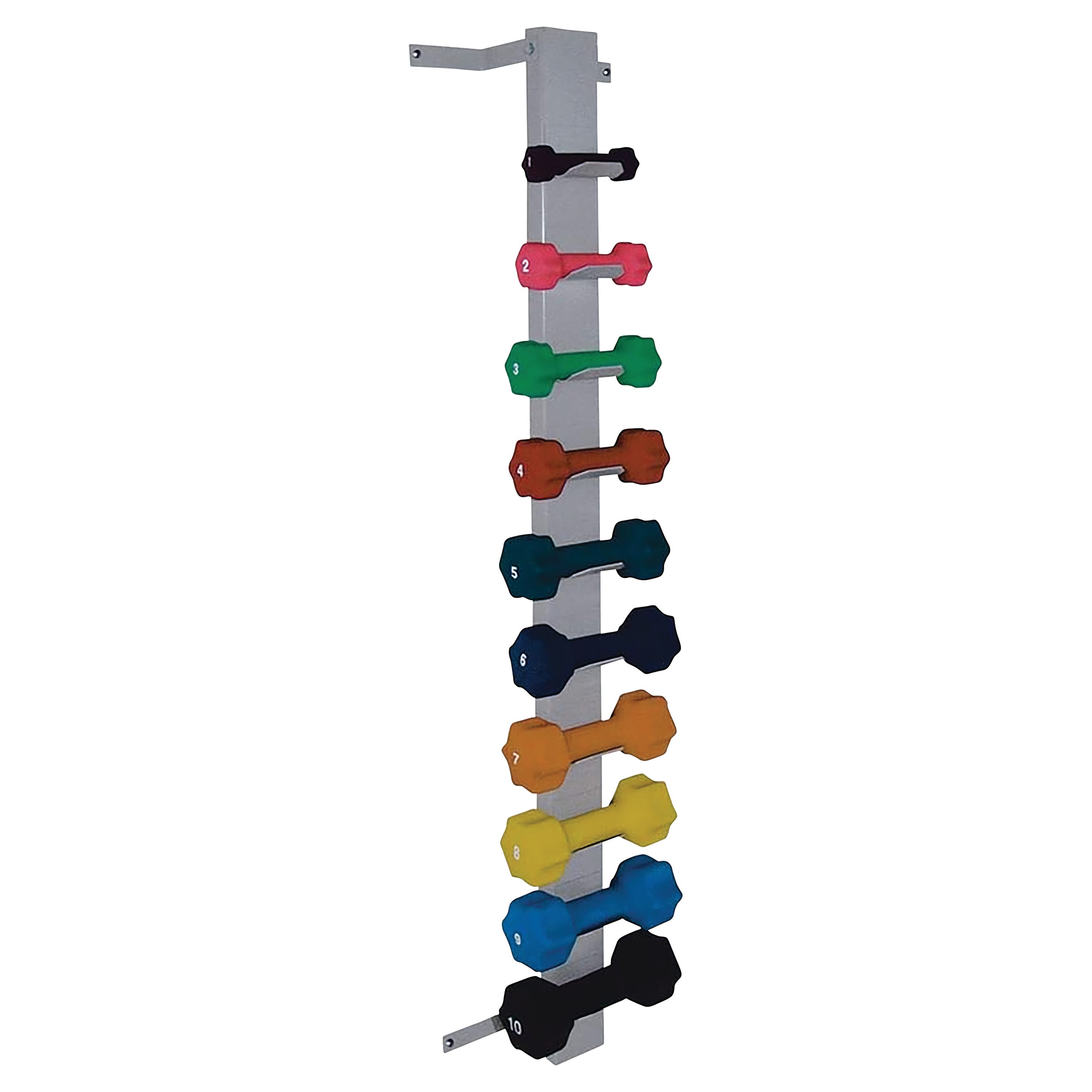 Wall-Mounted Dumbbell Rack holding a set of colorful dumbbells, numbered from 1 to 10, arranged vertically on a metal frame.