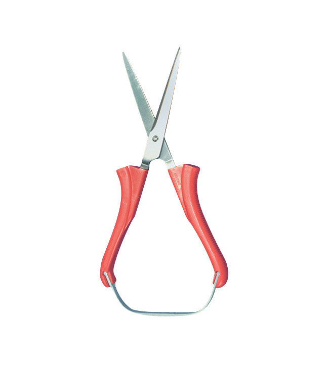 Loop Scissors with Round Tip, featuring red handles and a metal loop for easy use, are shown fully open on a white background.