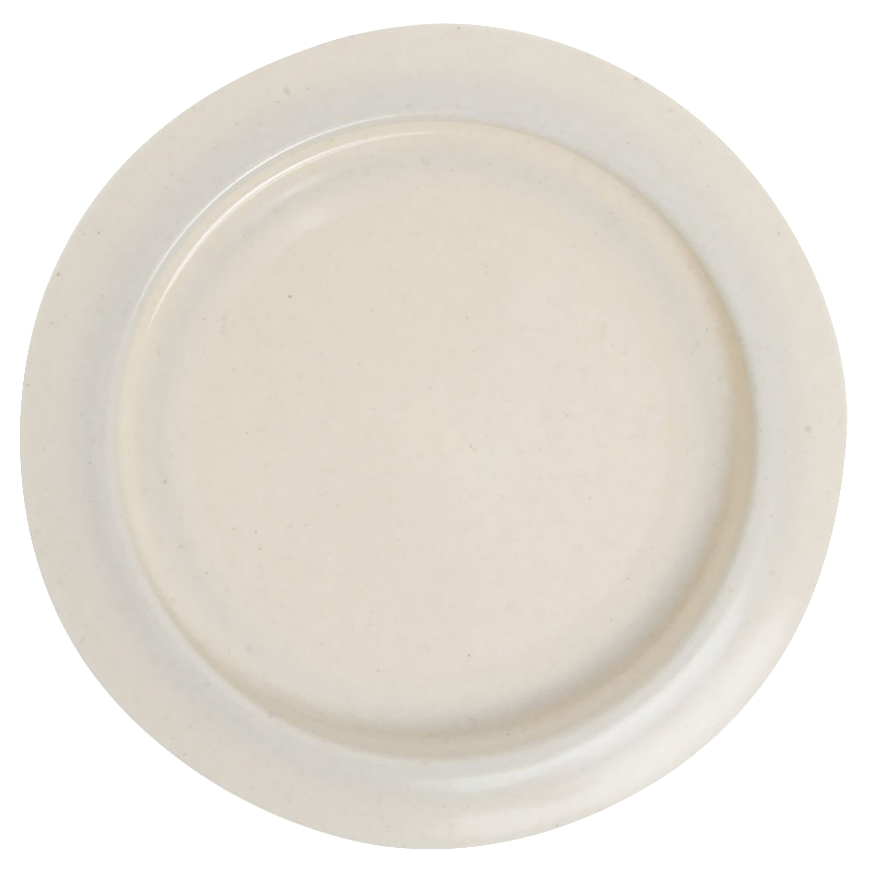 The image features an Inner Lip Plate, Nonskid, which is a beige plate designed with a raised edge to prevent food from spilling.