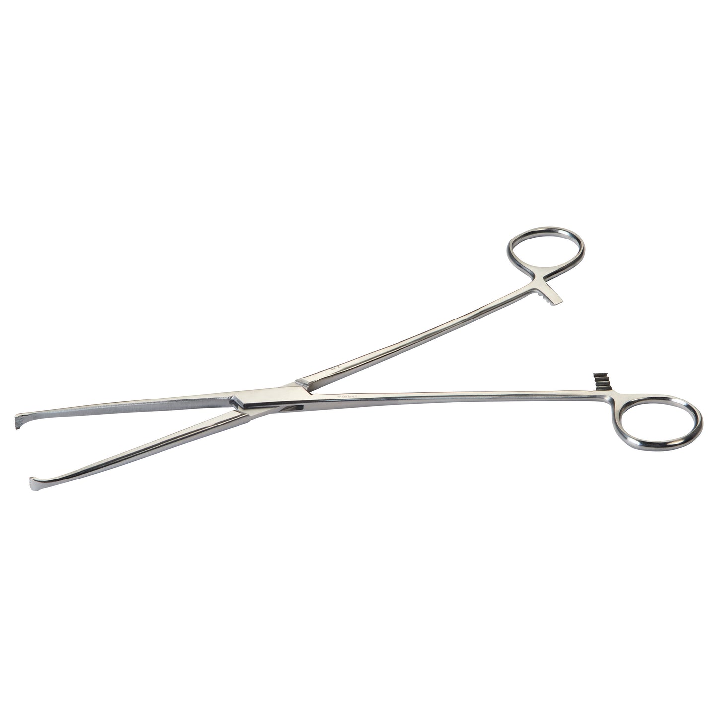 Allis Tissue Forceps are surgical instruments with long handles and toothed tips, designed for grasping and holding tissue.