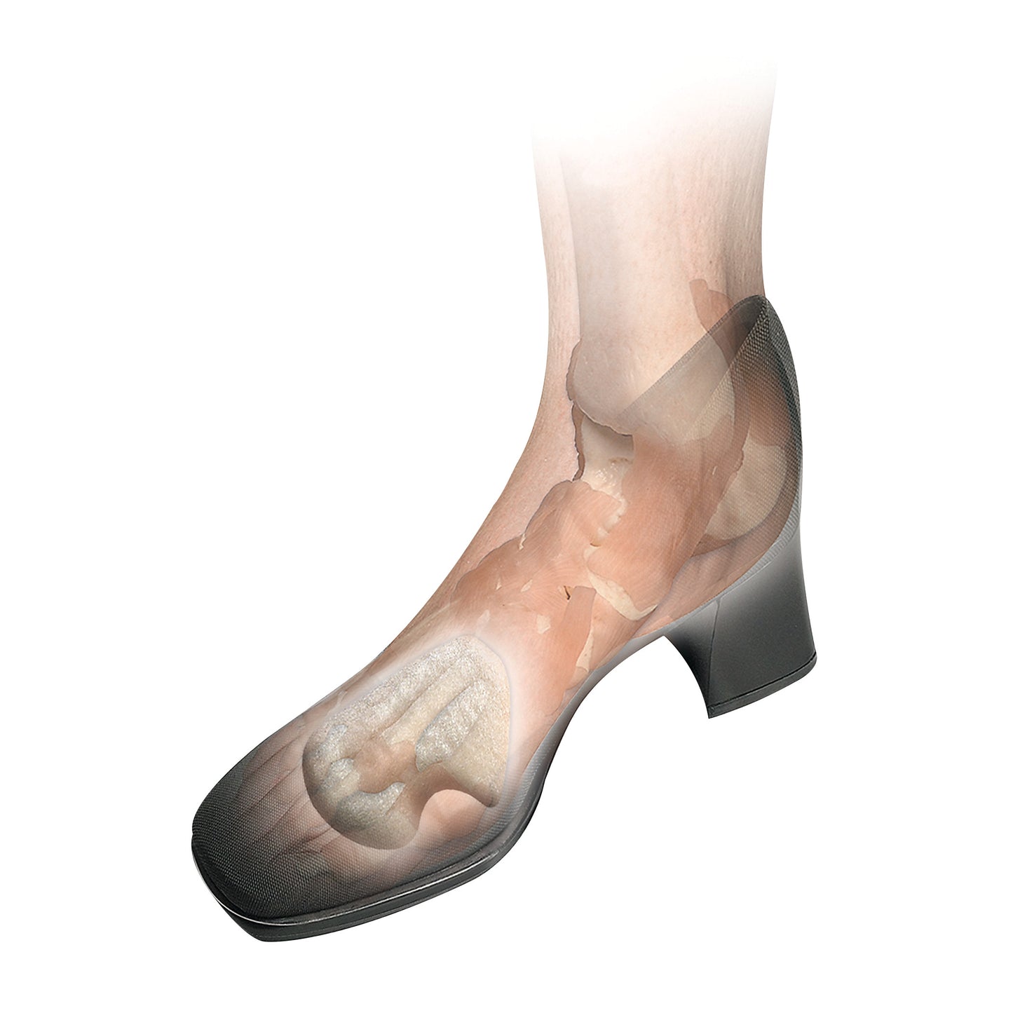 An illustration of a foot in a heeled shoe with translucent skin shows the Hapad Dancer Pad positioned under the forefoot area.