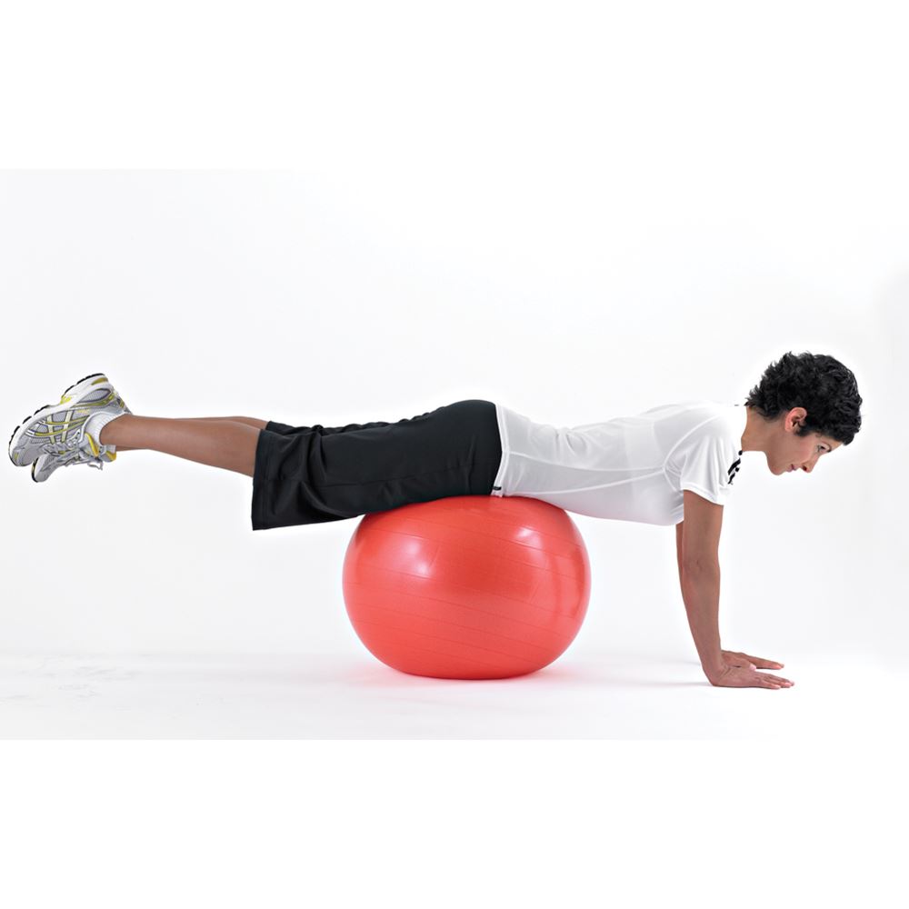 Indstilling nød vurdere Exercise Balls: Thera-Band Pro Series SCP Ball