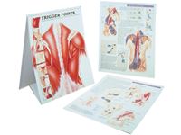 Trigger Point Charts