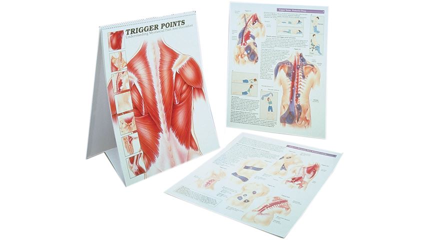 Trigger Point Charts