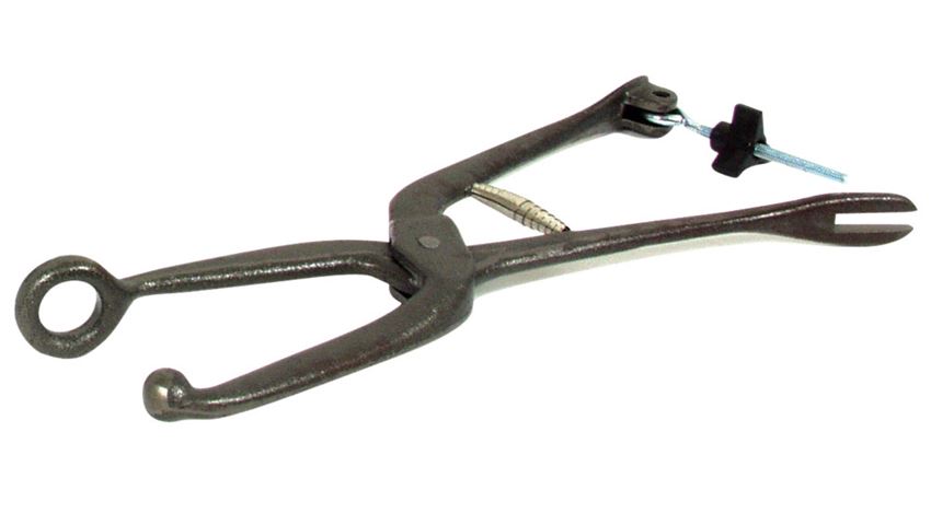 Apex® Ball and Ring Shoe Stretcher