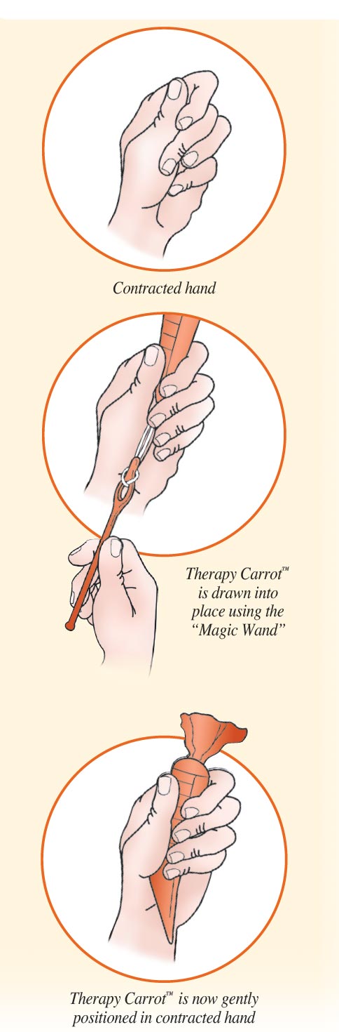 carrot illustrations
