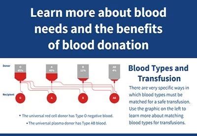 blood donation infographic