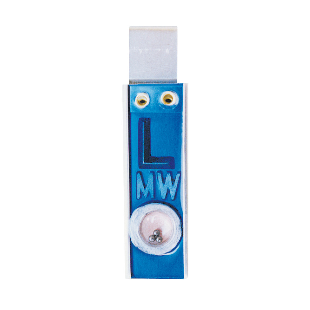 Blue "Plastic Position Indicator Left/Right X-Ray Marker Set" with "L" and initials  markings.