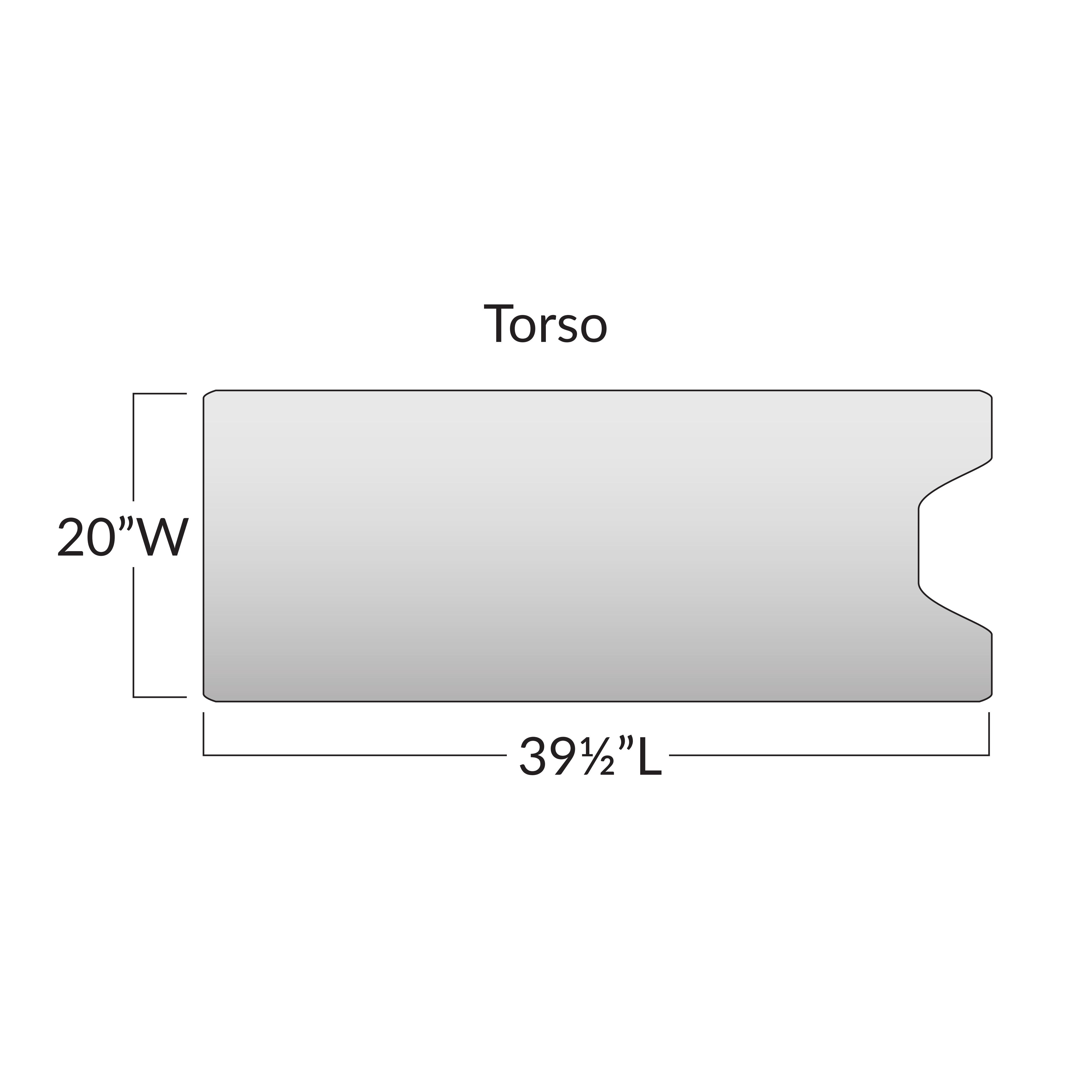 Diagram of the Action Torso Section Surface Overlay with Cutout, measuring 20"W x 39�"L, showing its dimensions.