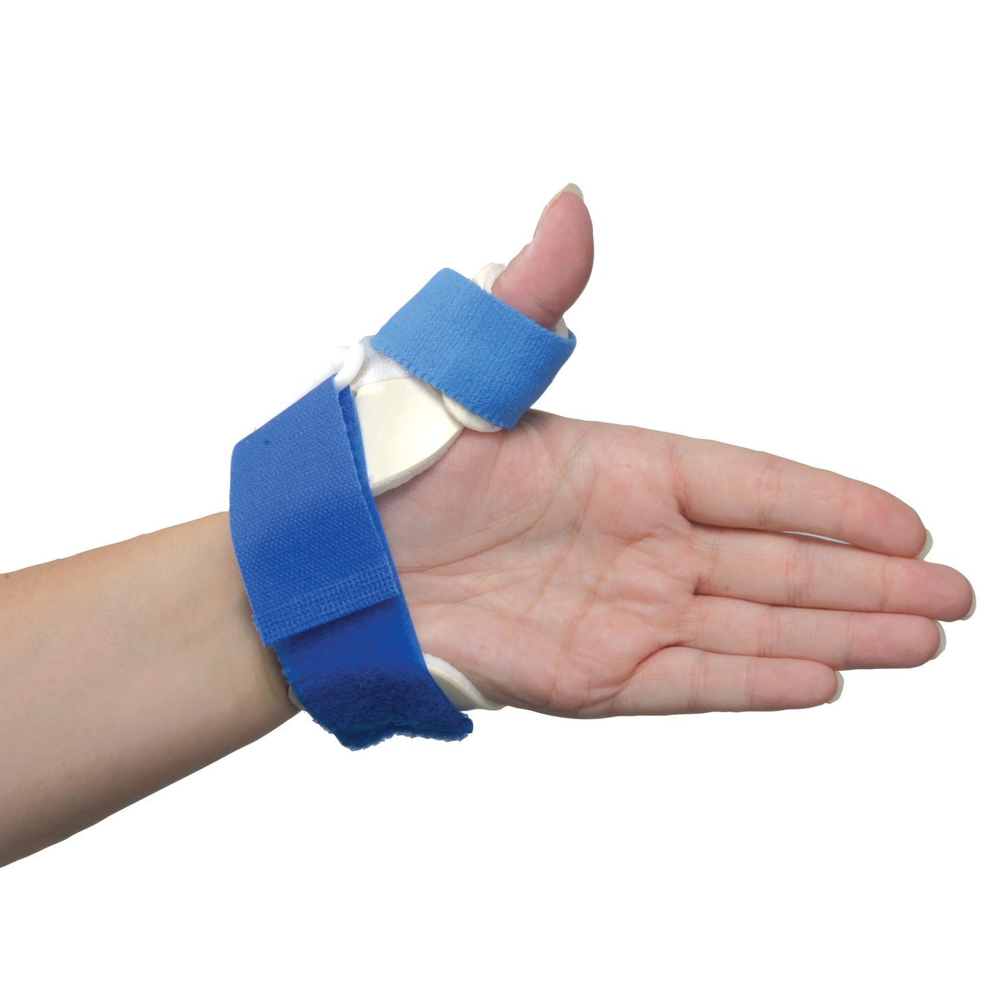 A hand wearing an AliMed FREEDOM Standard ThumbKeeper Splint in blue, supporting the thumb.