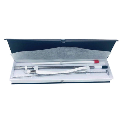 TheraSIP VocalSTRAW kit with a metal straw, cleaning brush, and accessories in a lined case with foam padding and snap closure.