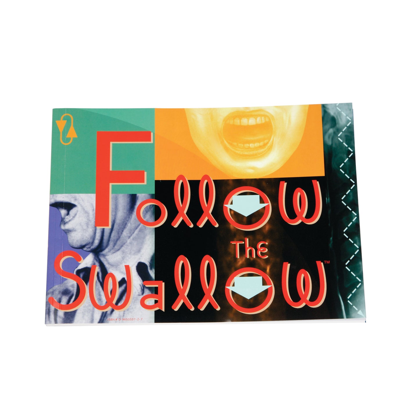 The book cover for \"Follow the Swallow\" features a colorful design with abstract shapes and a stylized, open-mouthed face.