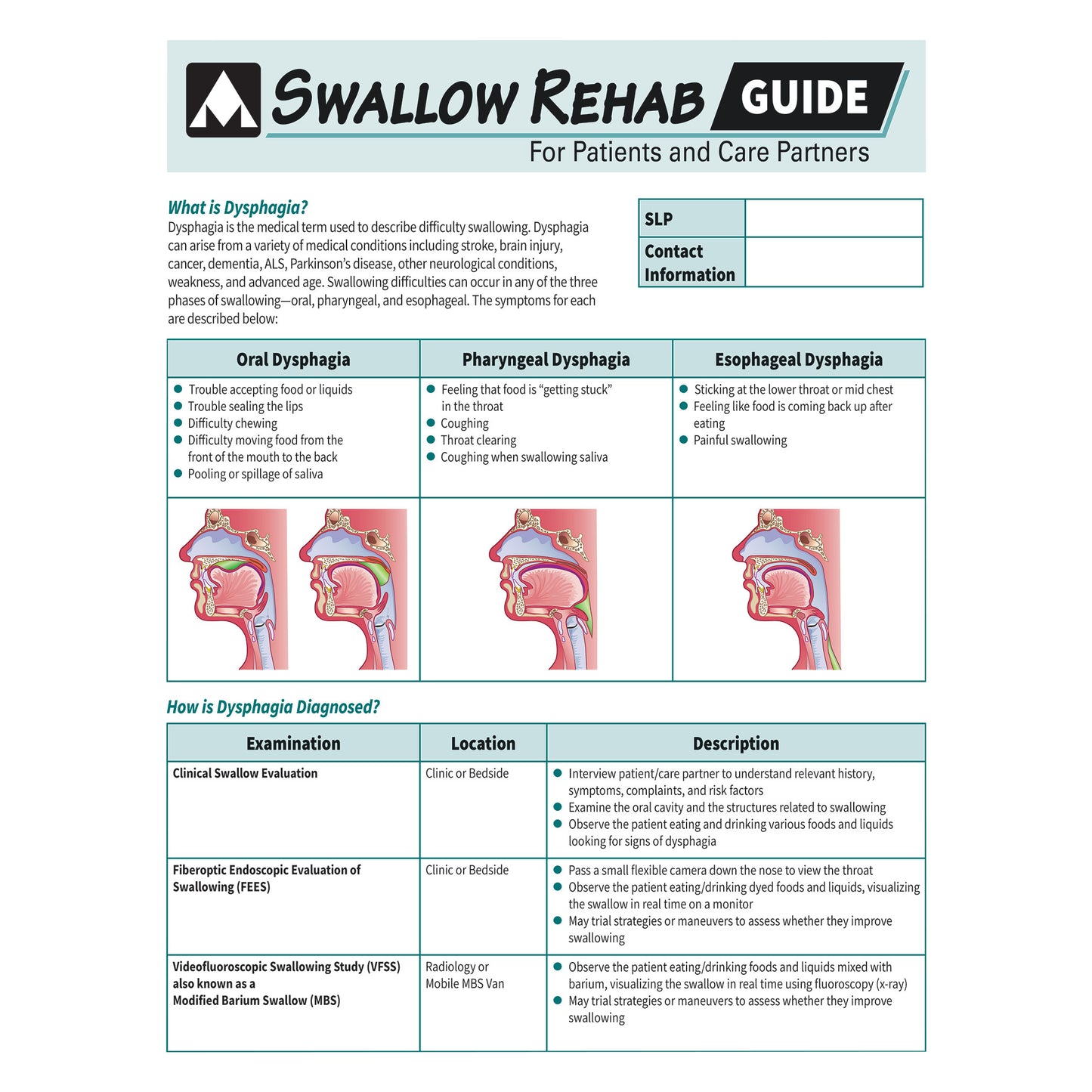 The AliMed Swallow Rehabilitation Guide describes types and diagnoses of dysphagia with illustrations and examination methods.